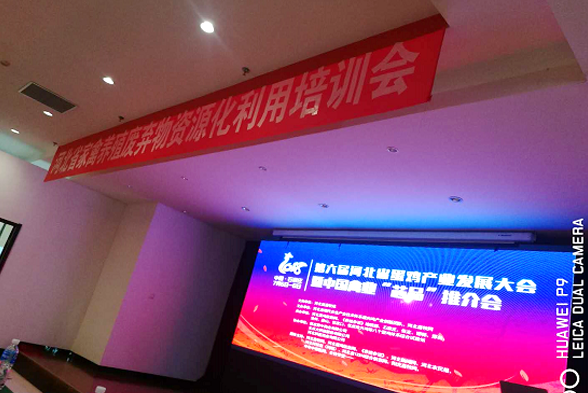 領(lǐng)先康地參加第六屆(2018)河北省蛋雞產(chǎn)業(yè)發(fā)展大會(huì) 暨中國禽業(yè)“芯品”推介會(huì) 領(lǐng)先康地參加第六屆(2018)河北省蛋雞產(chǎn)業(yè)發(fā)展大會(huì) 暨中國禽業(yè)“芯品”推介會(huì)